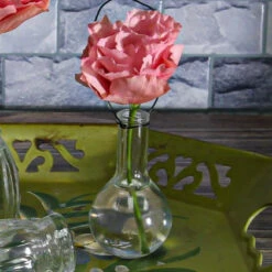 Richland Dainty Hanging Glass Vase Set Of 12