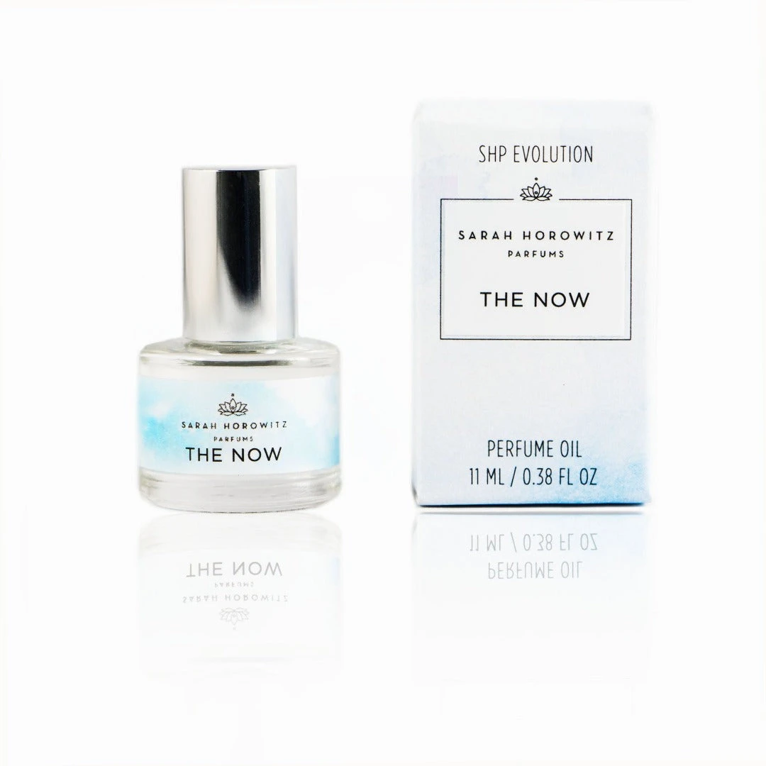 SHP Evolution - The Now 2 SHP Evolution - The Now - Image 2