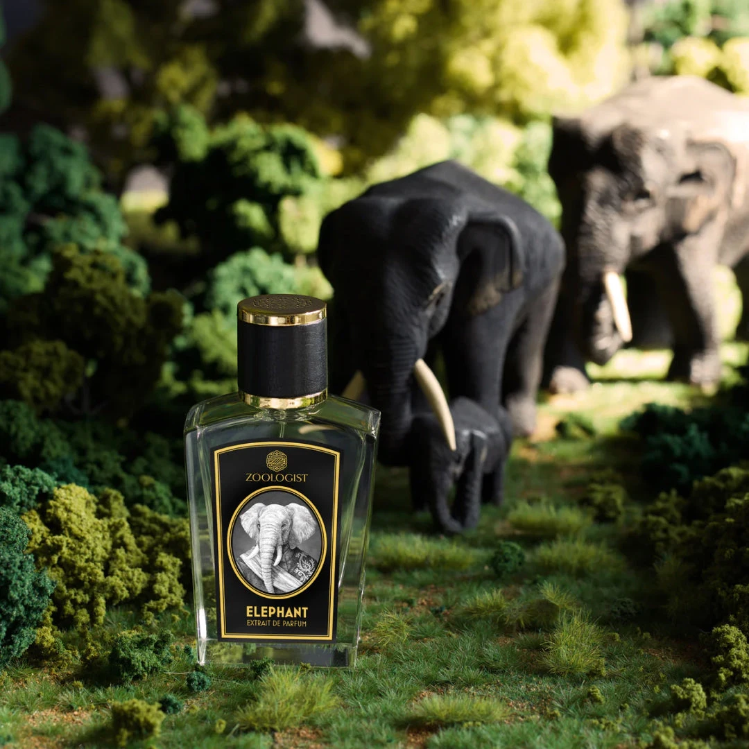 Elephant 3 Elephant - Image 3