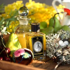 Hummingbird 6 Hummingbird -Comme Des Garcons Store ZoolistPerfumes Scene Hummingbird