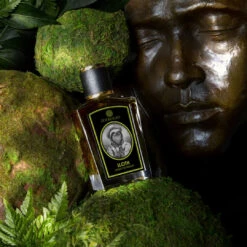 Sloth 6 Sloth -Comme Des Garcons Store ZoologistPerfumes Scene Sloth