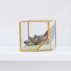 Hira Glass & Brass Terrarium Angled Cube 4.7" 6 Hira Glass & Brass Terrarium Angled Cube 4.7" -Comme Des Garcons Store anglecube2