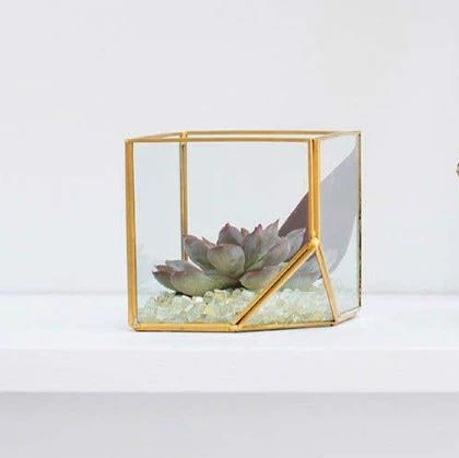 Hira Glass & Brass Terrarium Angled Cube 4.7" 3 Hira Glass & Brass Terrarium Angled Cube 4.7" - Image 3