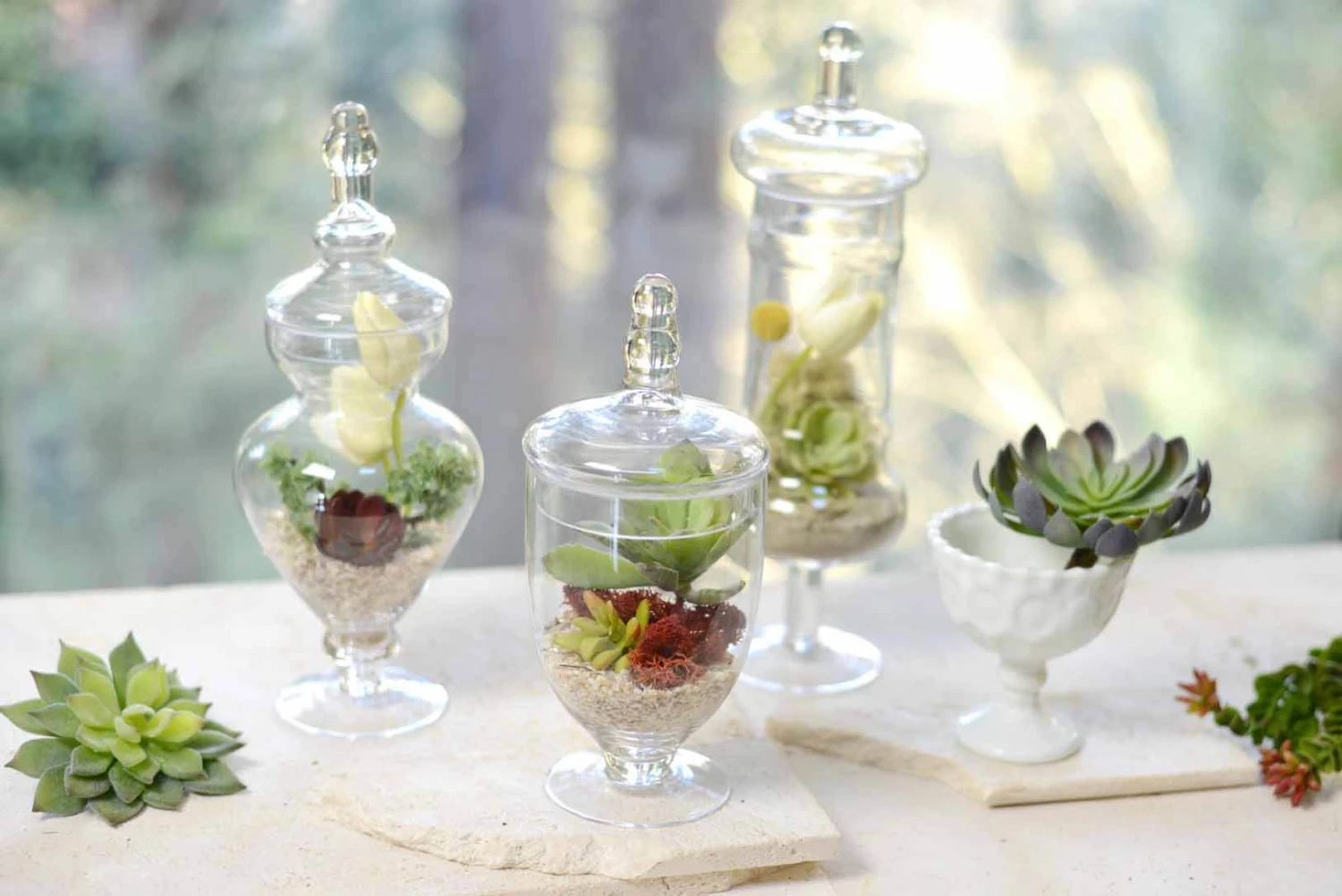 Set Of 3 Small Apothecary Jars 9, 12, & 13.5" 2 Set Of 3 Small Apothecary Jars 9, 12, & 13.5" - Image 2