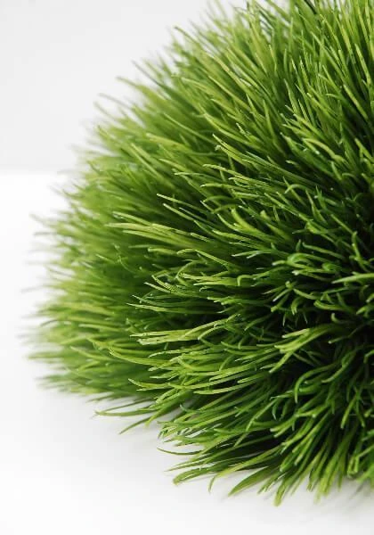 Faux Pine Grass Mound 9in 1 Faux Pine Grass Mound 9in