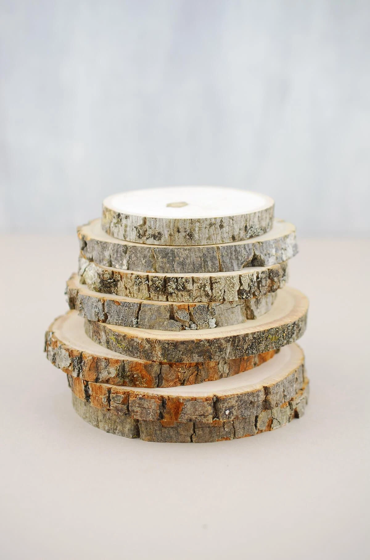 8 Basswood Branch Rounds 3.5in-5in Natural 1 8 Basswood Branch Rounds 3.5in-5in Natural