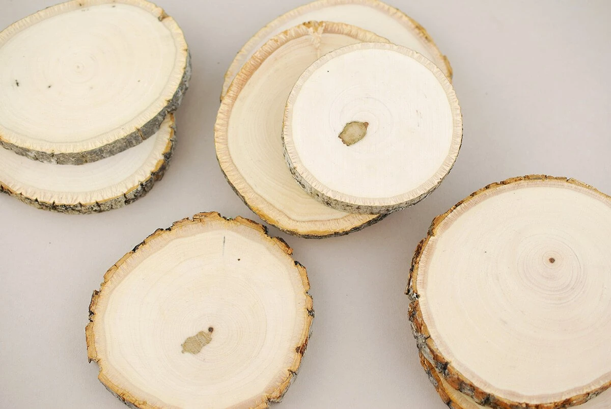 8 Basswood Branch Rounds 3.5in-5in Natural 2 8 Basswood Branch Rounds 3.5in-5in Natural - Image 2
