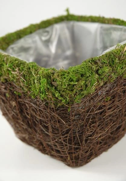 Wicker And Moss Square Pot 5in 3 Wicker And Moss Square Pot 5in - Image 3