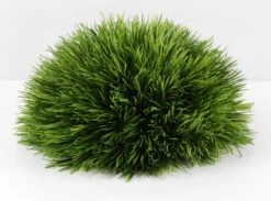 Faux Pine Grass Mound 9in 5 Faux Pine Grass Mound 9in -Comme Des Garcons Store bevfabriccrafts 2229 1697440209
