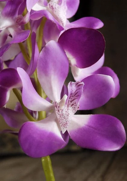 Silk Orchid Lavender 28in 2 Silk Orchid Lavender 28in - Image 2