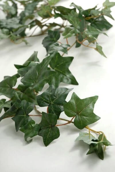 Puff Ivy Garland Silk 6FT (127 Leaves) 2 Puff Ivy Garland Silk 6FT (127 Leaves) - Image 2