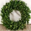 Natural Preserved Round Boxwood Wreath 16in