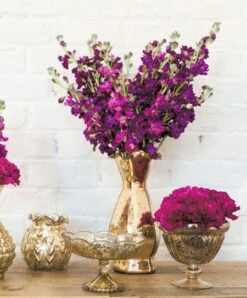Gold Carraway Vase 5" X 5.25" 7 Gold Carraway Vase 5" X 5.25" -Comme Des Garcons Store carraway