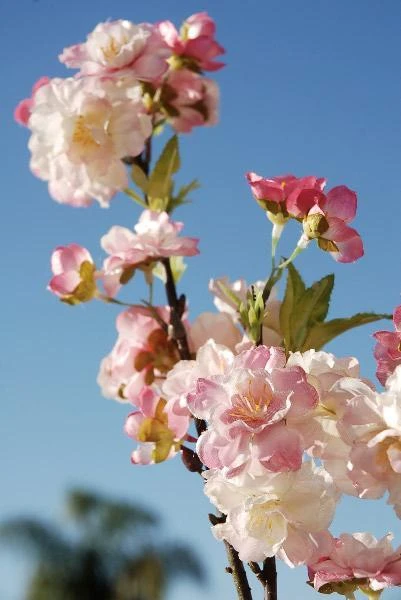 Pink Cherry Blossom Branch 45" 2 Pink Cherry Blossom Branch 45" - Image 2