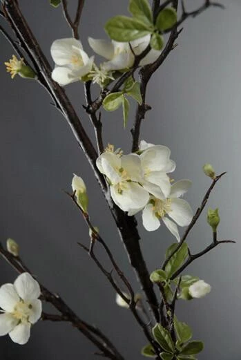 Cherry Blossom Branch 57" Artificial 1 Cherry Blossom Branch 57" Artificial