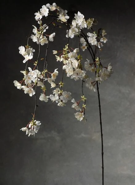 Hanging Cherry Blossom Branch White Silk Artificial 58" 1 Hanging Cherry Blossom Branch White Silk Artificial 58"