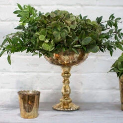 Desiray Glass Compote 9.5" Gold 6 Desiray Glass Compote 9.5" Gold -Comme Des Garcons Store d84b72a3 3d51 4ace 86ad 7777a19a8f11