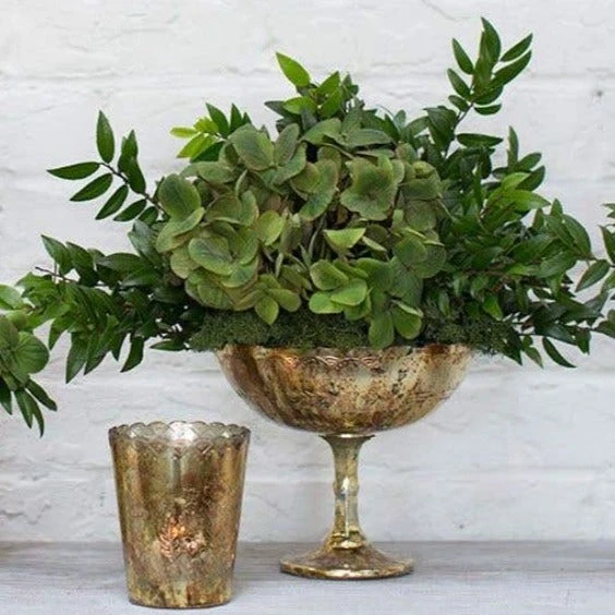 Desiray Glass Compote 7" X 8" Gold 3 Desiray Glass Compote 7" X 8" Gold - Image 3