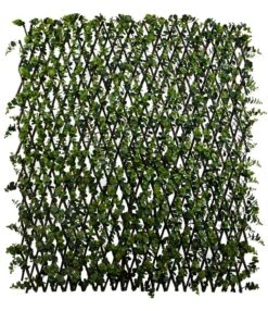 Expandable Trellis Ilex And Red Berries 78" X 39"