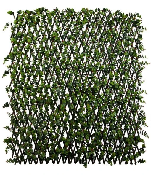 Expandable Trellis Ilex And Red Berries 78" X 39"