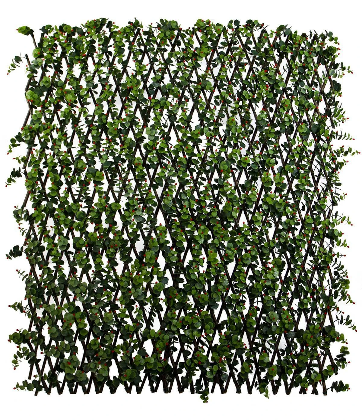 Expandable Trellis Ilex And Red Berries 78" X 39" 1 Expandable Trellis Ilex And Red Berries 78" X 39"