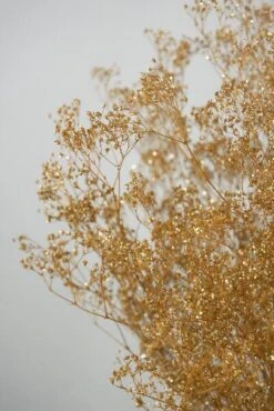 Gold Sparkle Preserved Baby's Breath 24in 4oz Bundle