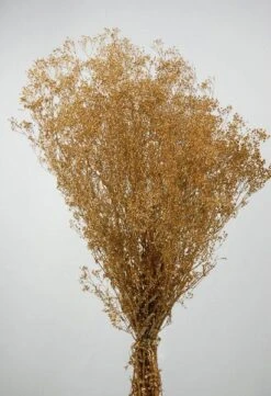 Gold Sparkle Preserved Baby's Breath 24in 4oz Bundle 5 Gold Sparkle Preserved Baby's Breath 24in 4oz Bundle -Comme Des Garcons Store gold sparkle gypsophila babys breath 9