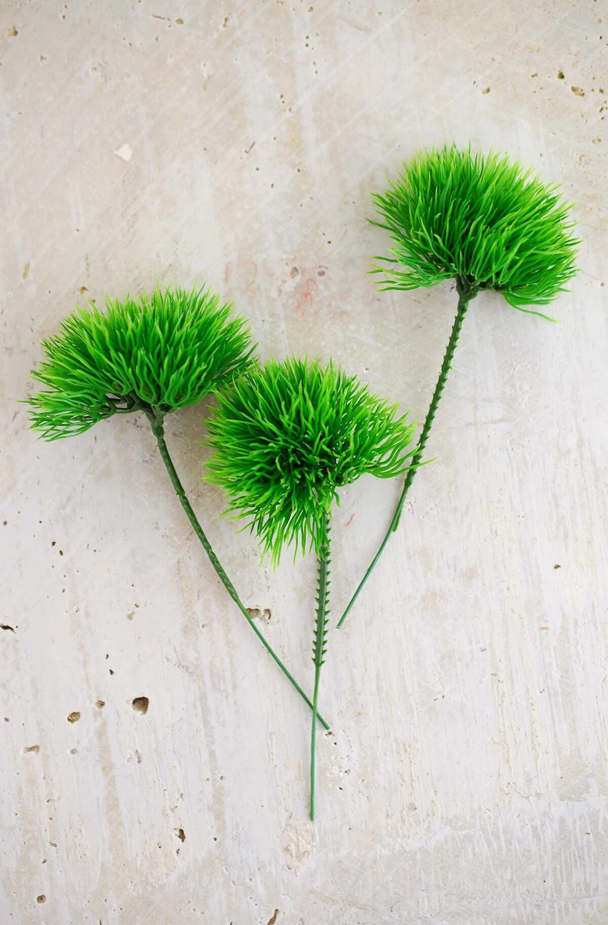 36 Green Trick Dianthus Picks 6 Inch 2 36 Green Trick Dianthus Picks 6 Inch - Image 2