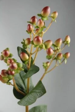 Hypericum Burgundy & Green 24in Artificial
