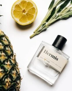 Hermis -Comme Des Garcons Store image 144ea340 f9ab 45a1 af4b 3d980b34e311