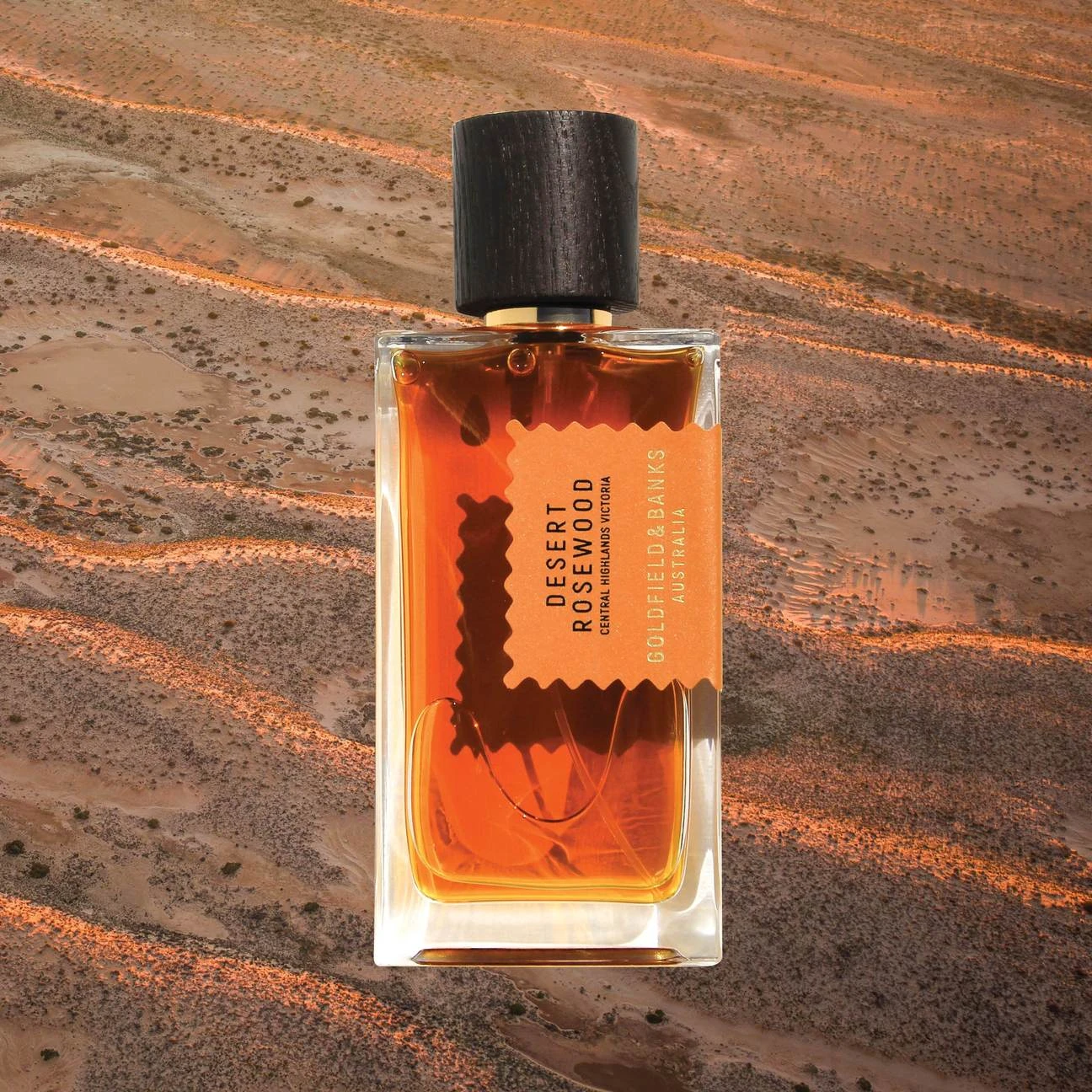 Desert Rosewood 6 Desert Rosewood - Image 6