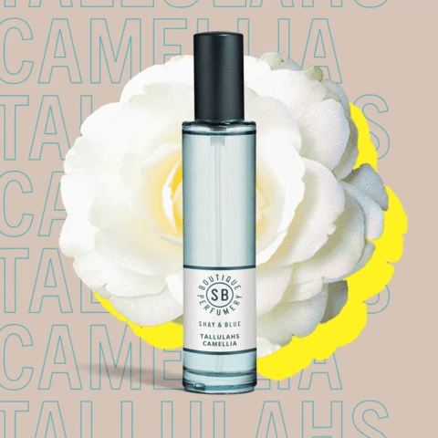 Tallulahs Camellia 2 Tallulahs Camellia - Image 2