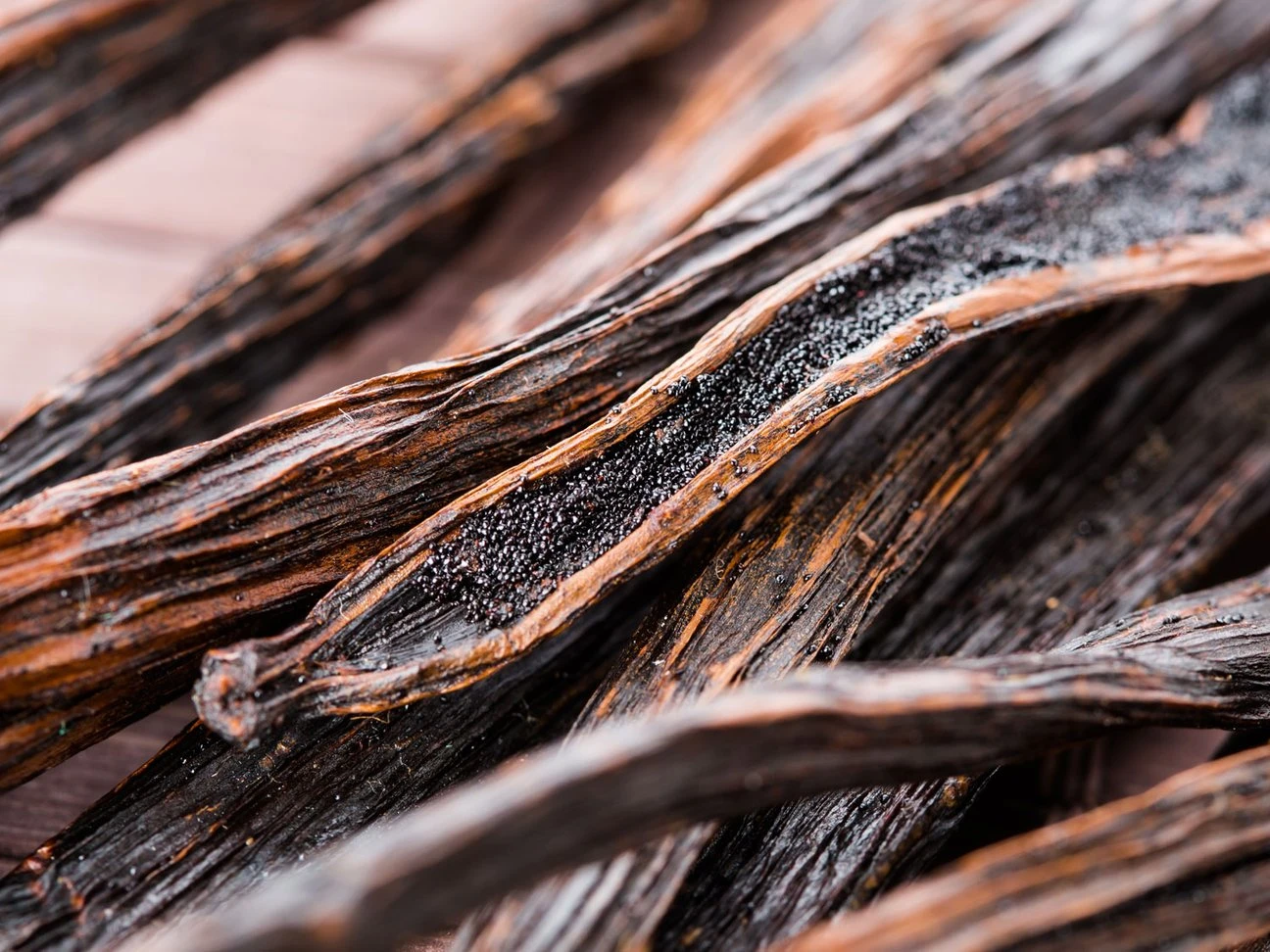 Desert Rosewood 7 Desert Rosewood - Image 7