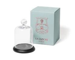 La Cloche Bell Jar & Wood Base