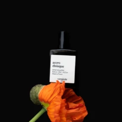 Accrodisiaque 5 Accrodisiaque -Comme Des Garcons Store image d2fe0263 400b 415a 96dd 96d84c6489ca