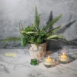 Eastland Grande Hurricane Holders & Richland Floating Candles 2" Set Of 24 14 Eastland Grande Hurricane Holders & Richland Floating Candles 2" Set Of 24 -Comme Des Garcons Store ivoryfloat