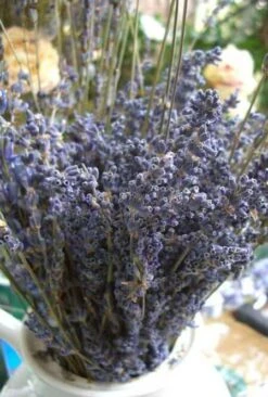 Lavender Flowers Air Dried Premium Blue Fragrant (90+ Stems)