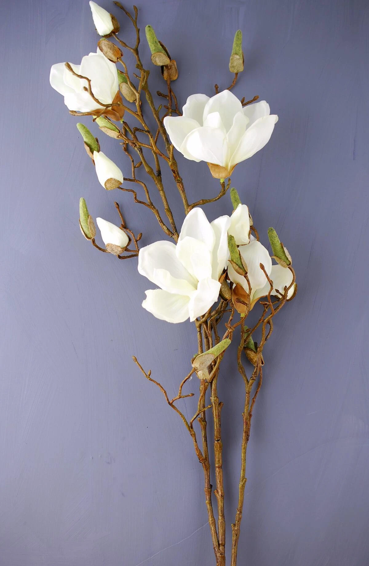 Magnolia Spray Cream 40in 2 Magnolia Spray Cream 40in - Image 2