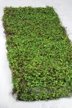 Faux Moss Leaf And Twig Mat 16x36