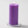 Richland Pillar Candles 3"x6" Lavender Set Of 12
