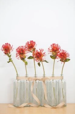 Richland Glass Textured Bottle Set Of 6 8 Richland Glass Textured Bottle Set Of 6 -Comme Des Garcons Store mg 5511 edit 1