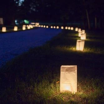 Eastland White Luminary Bags Only Set Of 100 2 Eastland White Luminary Bags Only Set Of 100 - Image 2