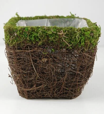 Wicker And Moss Square Pot 5in 2 Wicker And Moss Square Pot 5in - Image 2