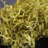 Chartreuse Spanish Moss 1 Lb / 700 Cubic In.