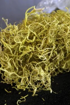 Chartreuse Spanish Moss 1 Lb / 700 Cubic In.