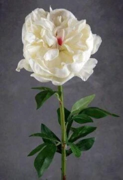 Natural Touch Large Cream White Peony Flower
