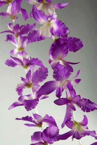 12 Purple Orchid Flower Leis 1 12 Purple Orchid Flower Leis