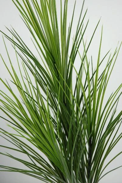 Tall PVC Grass 32in 2 Tall PVC Grass 32in - Image 2