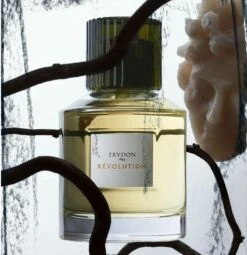 Révolution -Comme Des Garcons Store revolution 1 1