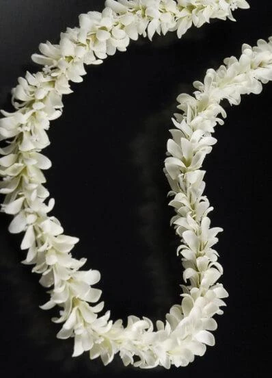 Jasmine Flower Lei Garland 1 Jasmine Flower Lei Garland